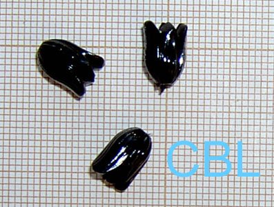 Sequins « Noir » S0015