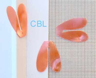 Sequins "Orange" S3005