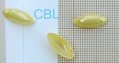 Sequins "Jaune" S4006