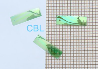 Sequins "Vert" S5025