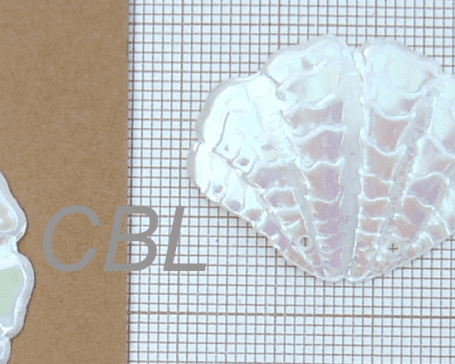 Sequins "Blanc" S9013